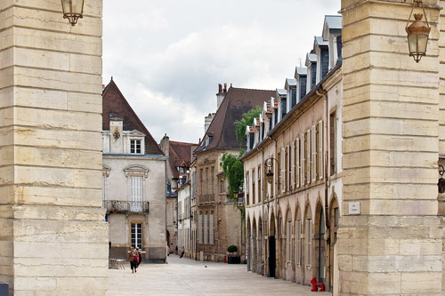 Dijon, Mustard, and&nbsp;Rapeseed