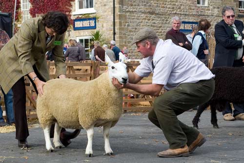 Masham Sheep Fair&nbsp;2009
